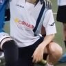 Profilo